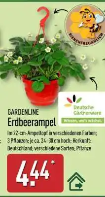 Aldi Nord GARDENLINE Erdbeerampel Angebot