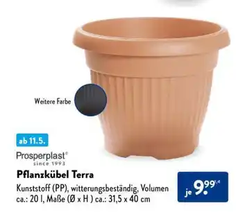 Aldi Nord Pflanzkübel Terra Angebot