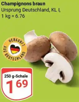 Globus Champignons braun Angebot