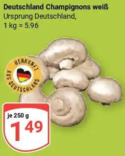 Globus Deutschland Champignons weiß Angebot