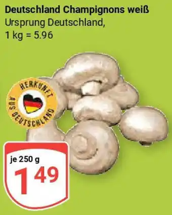 Globus Deutschland Champignons weiß Angebot