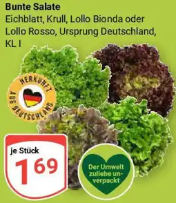 Globus Bunte Salate Angebot