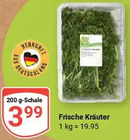 Globus Frische Kräuter Angebot