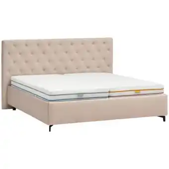 XXXLutz Novel Polsterbett Angebot