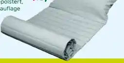Pflanzen Kölle Liegekissen Bliss Angebot