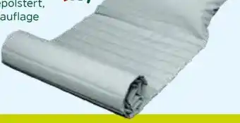 Pflanzen Kölle Liegekissen Bliss Angebot