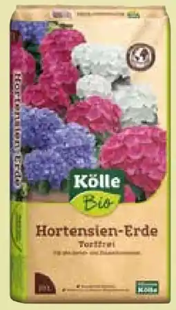 Pflanzen Kölle Kölle's Bio Hortensien-Erde-Torffrei Angebot