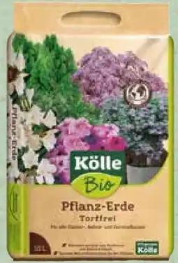 Pflanzen Kölle Kölle's Bio Pflanz-Erde Torffrei Angebot