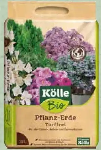Pflanzen Kölle Kölle's Bio Pflanz-Erde Torffrei Angebot
