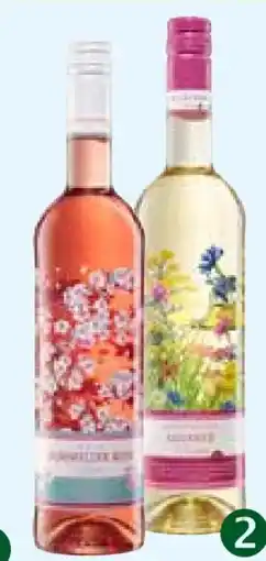 Pflanzen Kölle Moselland Blütentanz Müller-Thurgau Angebot