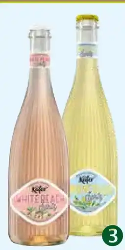 Pflanzen Kölle Käfer Weincocktail Angebot