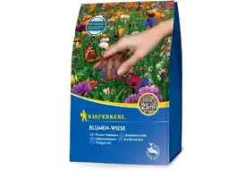 OBI Kiepenkerl Blumen-Wiese Angebot