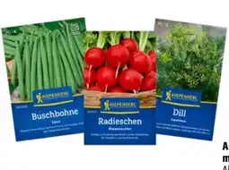 OBI Kiepenkerl Sämereien Angebot