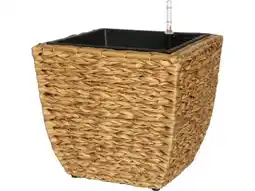 OBI Polyrattan Pflanzgefäß Angebot