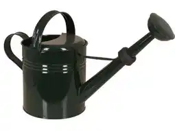 OBI Gießkanne Angebot