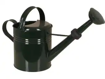 OBI Gießkanne Angebot