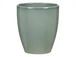 OBI Scheurich Orchideentopf Angebot