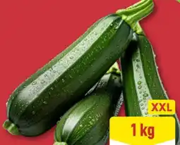Aldi Nord Zucchini XXL Angebot