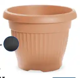 Aldi Nord Prosperplast Pflanzkübel Terra Angebot