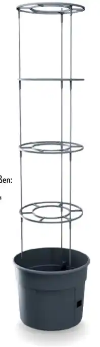 Aldi Nord Prosperplast Tomatenturm-Pflanzkübel Angebot