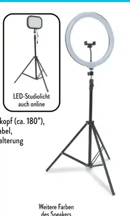 Aldi Nord Casalux LED-Ringlicht Angebot