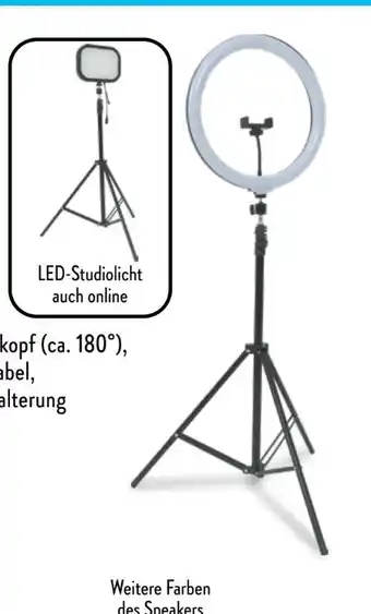 Aldi Nord Casalux LED-Ringlicht Angebot