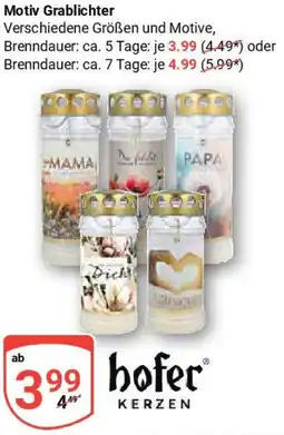 Globus Hofer Kerzen Motiv Grablichter Angebot