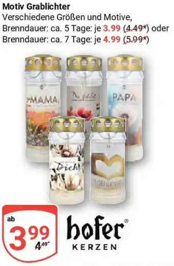 Globus Hofer Kerzen Motiv Grablichter Angebot