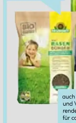 Hellweg Azet rasendünger Angebot