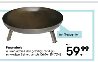 Hellweg Feuerschale Angebot