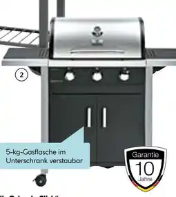 Hellweg Rothmann gasgrill „ottawa“ Angebot