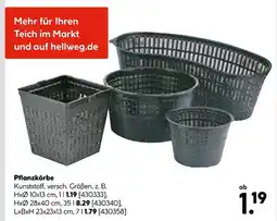 Hellweg Pflanzkörbe Angebot
