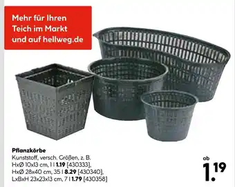 Hellweg Pflanzkörbe Angebot