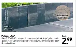 Hellweg Palisade „top“ Angebot
