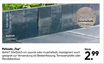 Hellweg Palisade „top“ Angebot