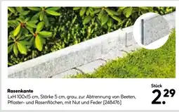 Hellweg Rasenkante Angebot