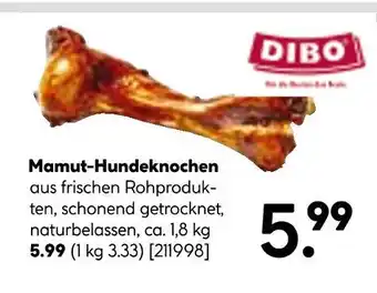 Hellweg Dibo mamut-hundeknochen Angebot