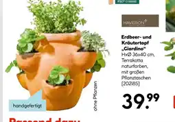 Hellweg Haveson erdbeer- und kräutertopf giardino Angebot