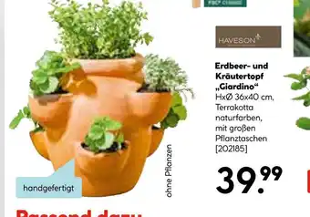 Hellweg Haveson erdbeer- und kräutertopf giardino Angebot