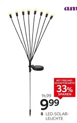 XXXLutz Ambia garden led-solarleuchte Angebot