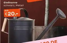 Blume 2000 Gießkanne Angebot