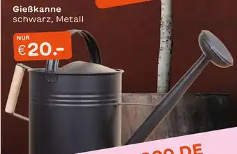 Blume 2000 Gießkanne Angebot