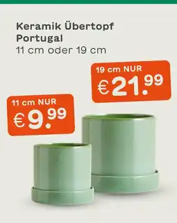 Blume 2000 Keramik übertopf portugal Angebot