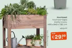 Blume 2000 Hochbeet Angebot
