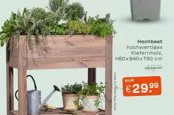 Blume 2000 Hochbeet Angebot