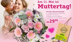 Pflanzen Kölle Strauß herzenstrauß Angebot