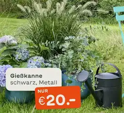 Blume 2000 Gießkanne Angebot