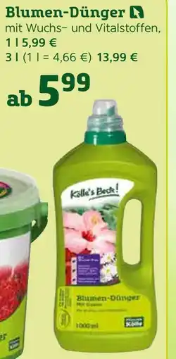 Pflanzen Kölle Kölle's beste! blumen-dünger Angebot