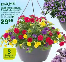 Pflanzen Kölle Kölle's beste! zauberglöckchen-ampel „petticoat“ Angebot
