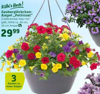 Pflanzen Kölle Kölle's beste! zauberglöckchen-ampel „petticoat“ Angebot